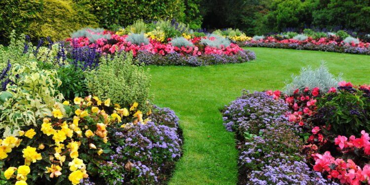 É revelado o segredo da produtividade agrícola! Comece a seguir essas práticas e tenha colheitas mais saudáveis