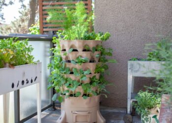 Sem sol? Veja como criar um jardim vibrante mesmo na sombra