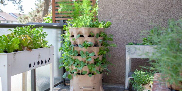 Sem sol? Veja como criar um jardim vibrante mesmo na sombra