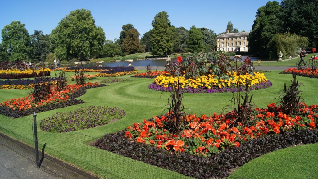 Você sabia que o pH do solo pode mudar a cor das flores?