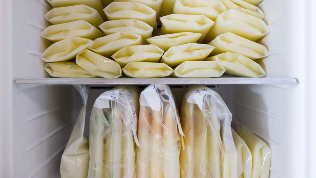 Conheça os métodos mais utilizados por mães para armazenar o leite materno com segurança