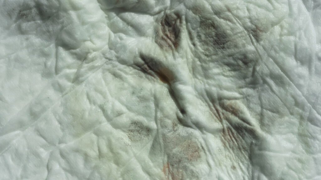 As melhores soluções caseiras para remover mofo das roupas sem estragar o tecido