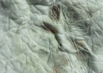 As melhores soluções caseiras para remover mofo das roupas sem estragar o tecido