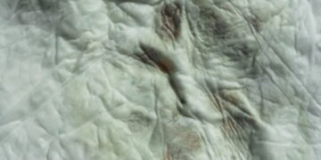 As melhores soluções caseiras para remover mofo das roupas sem estragar o tecido