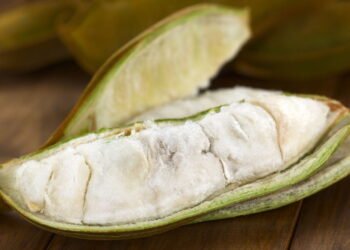 Como plantar ingá no quintal e colher frutos doces em poucos meses