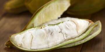 Como plantar ingá no quintal e colher frutos doces em poucos meses