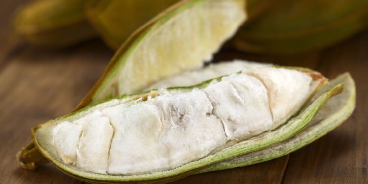 Ingá - Créditos: depositphotos.com / ildi_papp