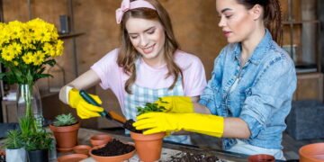 Cultivar plantas pode ser o remédio natural que sua mente precisa