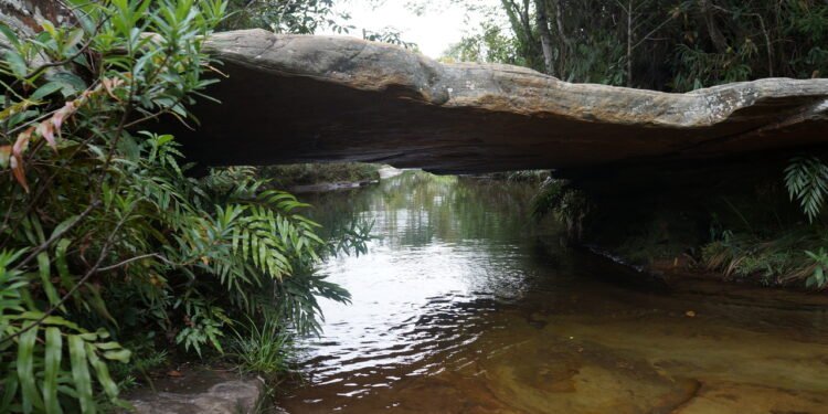 Ponte da Pedra Carrancas - Créditos: Divulgação/Wikimedia Commons