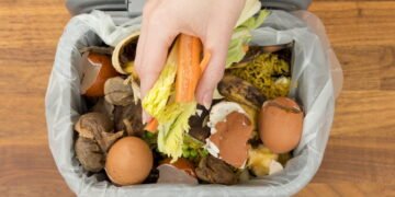 Você joga fora ouro puro? Veja o poder dos resíduos de cozinha