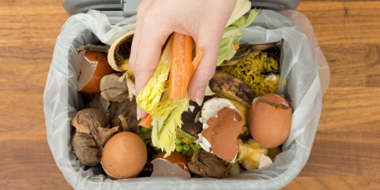Você joga fora ouro puro? Veja o poder dos resíduos de cozinha