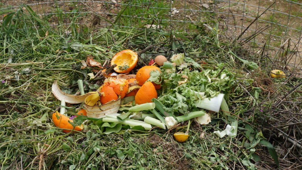 Você joga fora ouro puro? Veja o poder dos resíduos de cozinha