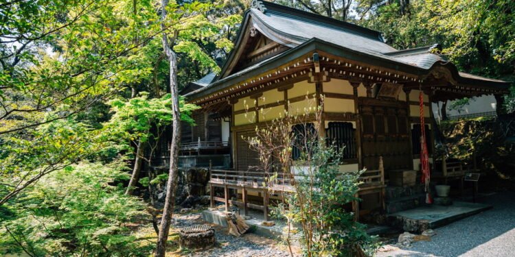 Essa cidade recicla quase 100% do lixo e quer ser a primeira cidade lixo zero