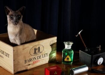 Você sabe o que é a experiência do gato de Schrödinger? Entenda o paradoxo mais famoso da mecânica quântica