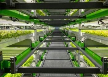 A agricultura mais eficiente do mundo! Conheça as fazendas verticais que não precisam de solo e nem sol