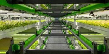 A agricultura mais eficiente do mundo! Conheça as fazendas verticais que não precisam de solo e nem sol