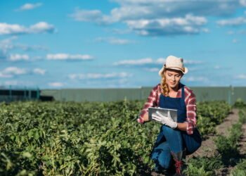 Segurança financeira, entenda o crescimento do agronegócio em MG