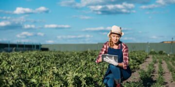 Segurança financeira, entenda o crescimento do agronegócio em MG