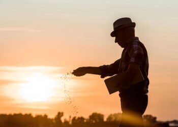 Redução de impostos promete dar novo fôlego aos agricultores familiares