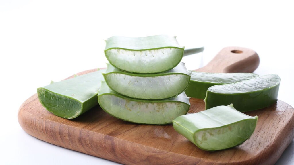 Esta planta resolve 3 problemas em casa e você só precisa molhar 1 vez por semana