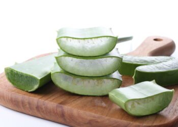 Esta planta resolve 3 problemas em casa e você só precisa molhar 1 vez por semana