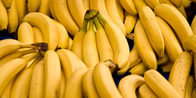 O melhor jeito de cultivar banana em casa sem complicação