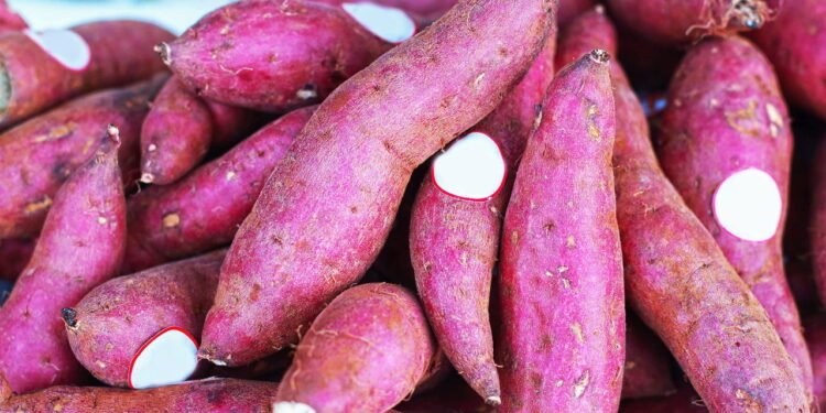 Batata-doce no mercado - Sweet potato in the market
