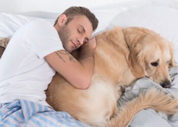 Esses são os benefícios à saúde de ter um cachorro