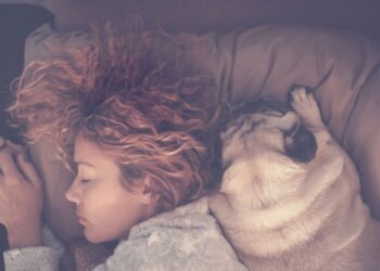 O que significa quando o seu cachorro dorme encostado em você