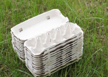 Você sabia que caixas de ovos ajudam a proteger suas plantas?