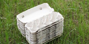 Você sabia que caixas de ovos ajudam a proteger suas plantas?