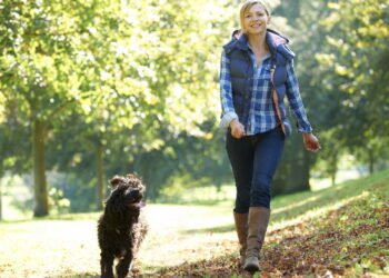 Caminhar todos os dias