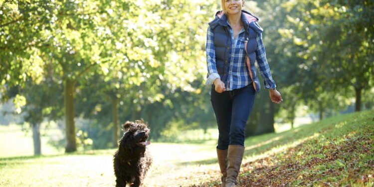 Caminhar todos os dias