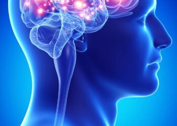 Você sabia que o cérebro pode melhorar mesmo após os 60 anos?