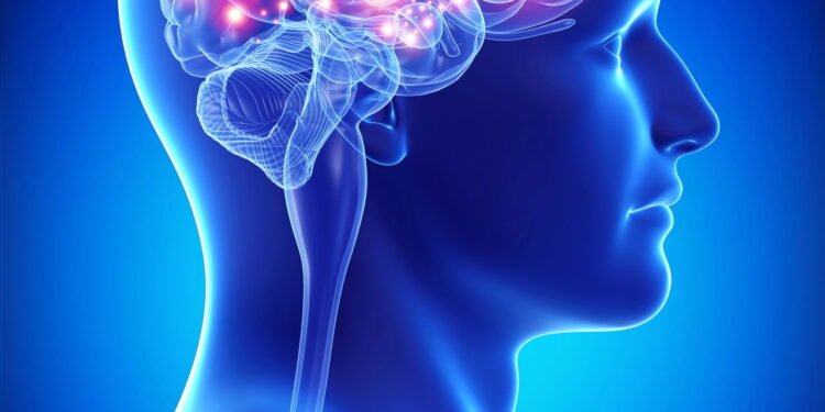 Você sabia que o cérebro pode melhorar mesmo após os 60 anos?