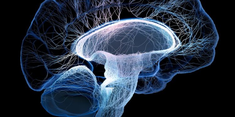 O que a ciência ainda não sabe sobre o cérebro humano