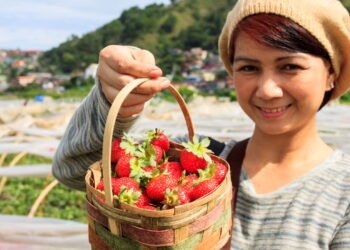 Cidade dos morangos e das flores, virou o refúgio preferido de quem busca paz e beleza