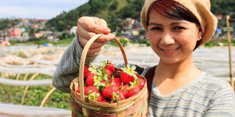Cidade dos morangos e das flores, virou o refúgio preferido de quem busca paz e beleza