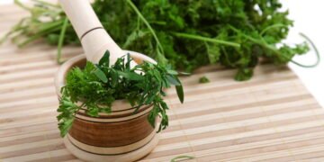 Essa erva que você tem em casa, ajuda a reduzir inflamação, ansiedade e açúcar no sangue