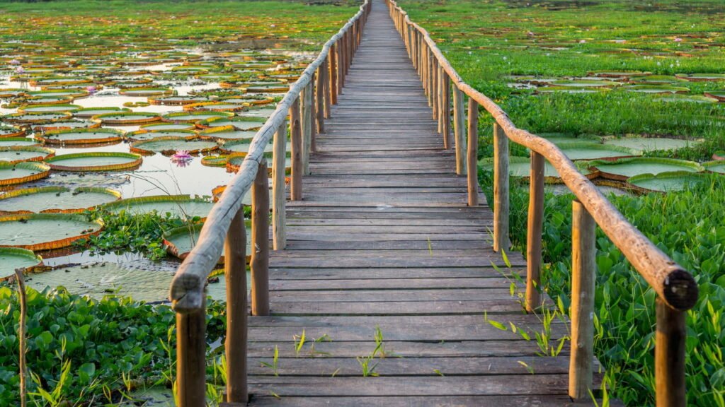 O encanto dessa cidade que conquista turistas e preserva raízes pantaneiras