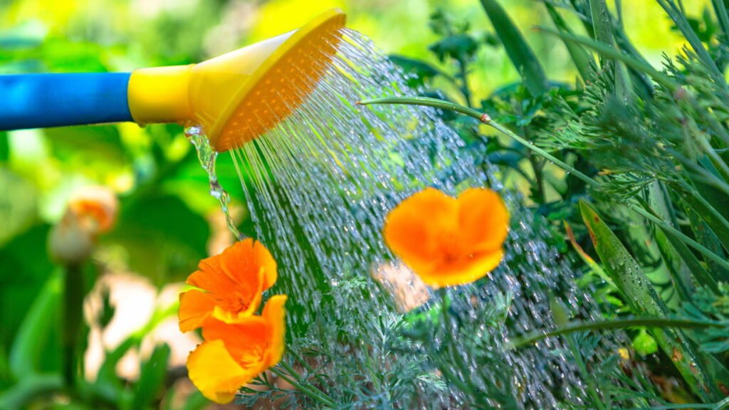 Como criar um jardim vertical e levar mais vida para sua casa