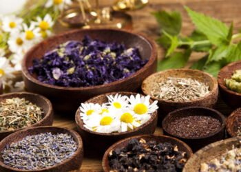 Essas ervas medicinais simples podem transformar sua saúde