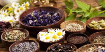 Essas ervas medicinais simples podem transformar sua saúde