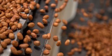 Famosa fábrica centenária de amendoim anuncia que vai fechar após prejuízo de milhões