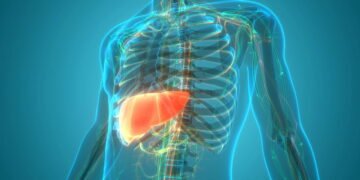 Esse hábito diário pode estar danificando seu fígado sem você perceber