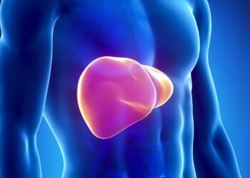 7 alimentos que fortalecem o fígado e combatem inflamações