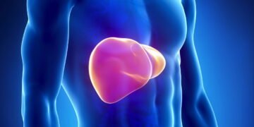 7 alimentos que fortalecem o fígado e combatem inflamações