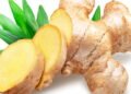 Como plantar gengibre em casa da maneira correta e colher raízes frescas o ano todo