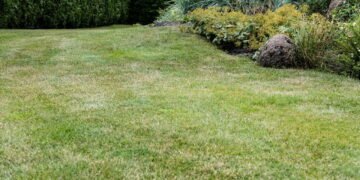 Especialistas revelam os erros mais comuns ao fertilizar gramados