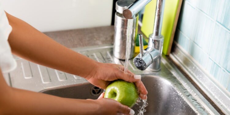 Como higienizar frutas da maneira certa para eliminar até 98% dos microrganismos e evitar doenças